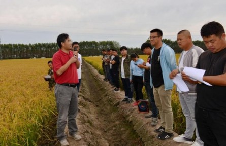 科技破题 绿色增效：中国农大范明生团队以智慧施肥赋能现代农业
