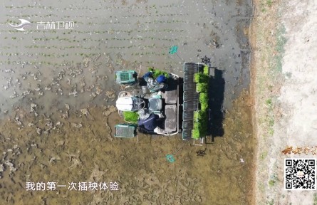 好好学习|《盐碱地上稻花香》卫视播出版