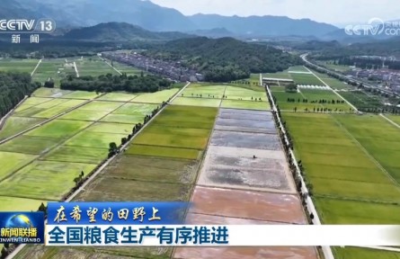 【在希望的田野上】全国粮食生产有序推进