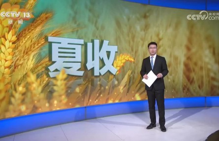 新科技 新手段助力夏粮收储
