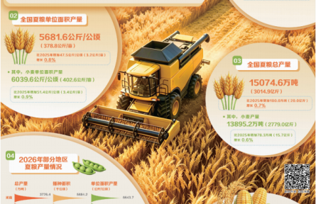 夏粮首破3000亿斤彰显农业韧性