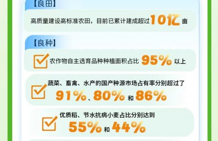 理响中国·聚焦2026中国经济丨稳中向好、效能提升 一图解读农业农村经济半年报