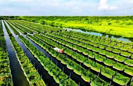 立足特色种养殖业赛道 江西余干行稳致远