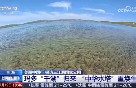 【美丽中国行 探访三江源国家公园】玛多“千湖”归来 “中华水塔”重焕生机