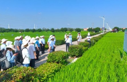 观摩交流促转化智能精准施肥技术落地长江中下游现代农业科技试验示范基地