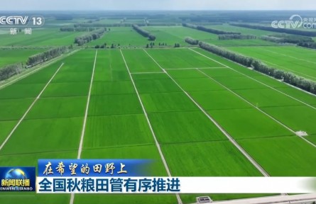【在希望的田野上】全国秋粮田管有序推进