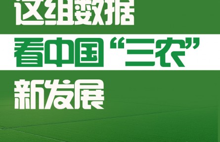 这组数据，看中国“三农”新发展