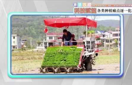 湖南:抢抓农时推进“双抢” 新技术筑牢粮食丰收根基