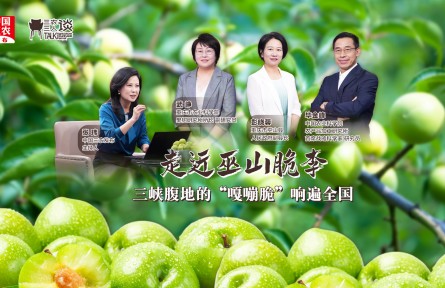 三农三人谈：走近巫山脆李——三峡腹地的“嘎嘣脆”响遍全国
