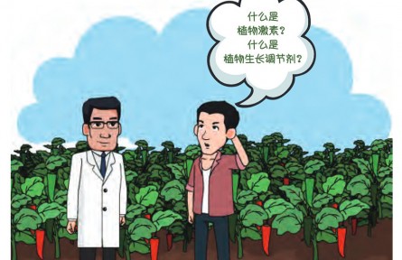 植物激素与动物激素，完全两回事