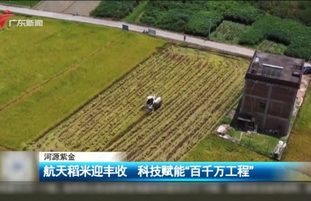 航天稻米迎丰收 科技赋能“百千万工程”