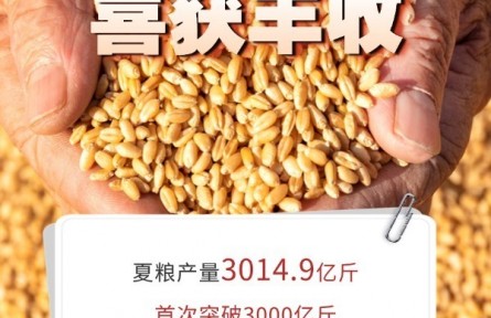 2026年上半年农业农村经济“成绩单”
