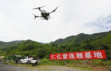山西阳泉:无人机飞起来 连翘籽播下去