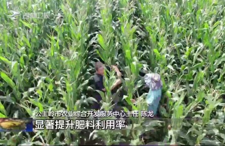 【吉地振兴·沃土向新】吉林:种质创新配套农田数字技术 以农业科技解锁土地增产潜力