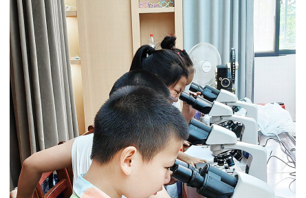 武汉设计工程学院：聚焦“一老一少”，专业赋能食安科普