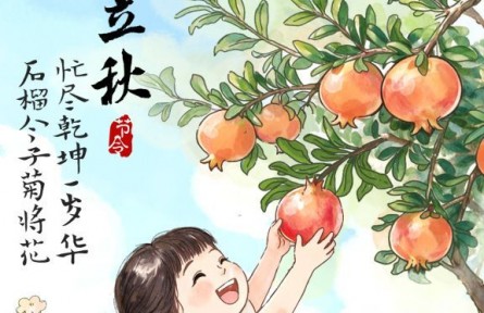 于草木花果间邂逅立秋的温柔