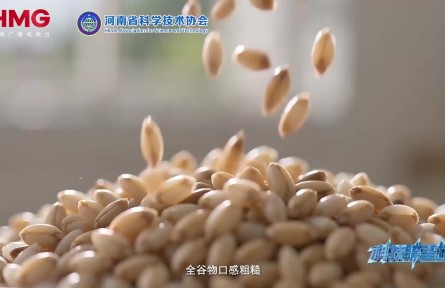 ​如何让“营养王者”好吃又健康？全谷物食品加速“上位”