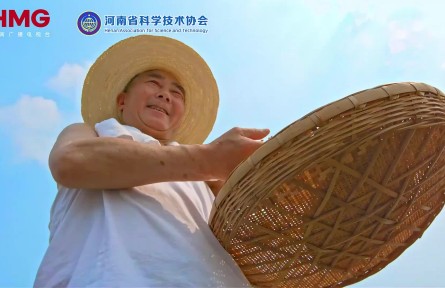 一粒全谷物，藏着多少被遗忘的营养？