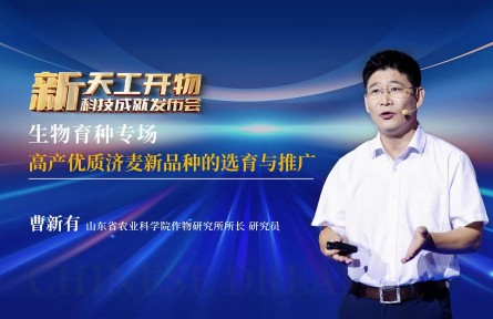高品质优质济麦新品种的选育与推广
