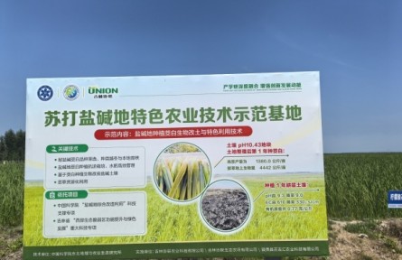吉地振兴·沃土向新｜一根茭白的北上之路
