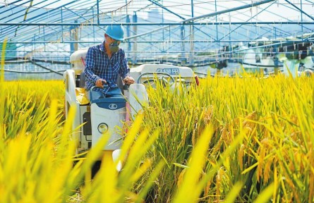 农民农村共富题 四川攀枝花这样作答