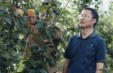 海派乡村新图景丨魔都农业科创力：一颗沪产梨的二十年育种接力