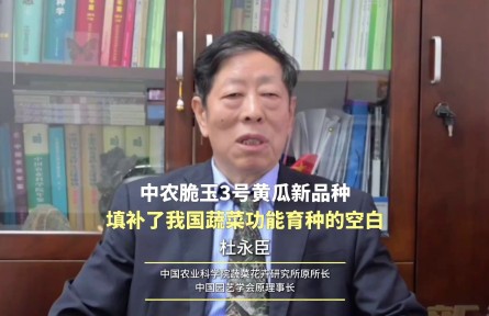 中农脆玉3号黄瓜新品种填补了我国蔬菜功能育种的空白