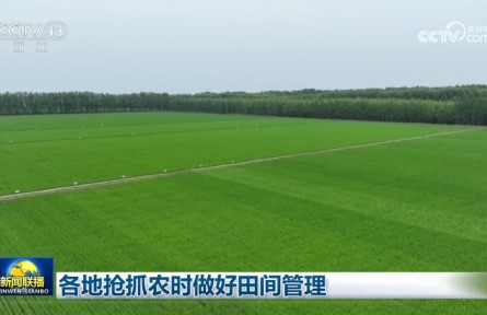 各地抢抓农时做好田间管理