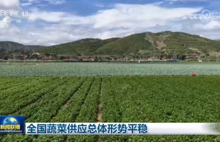 全国蔬菜供应总体形势平稳