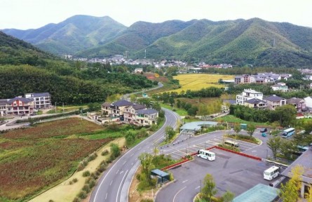 时政微观察|从乡村蝶变看浙江的共富之路