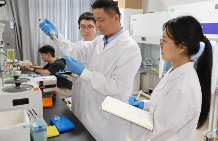棉花高产优质的“总开关”找到了