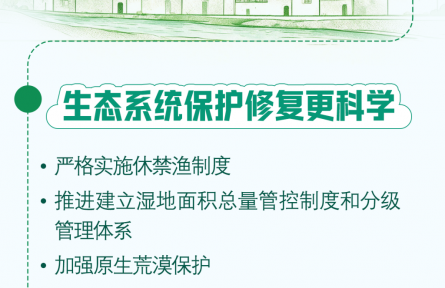 “十五五”时期，生态保护有这些新举措