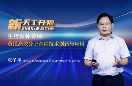 黄瓜高效分子育种技术创新与应用
