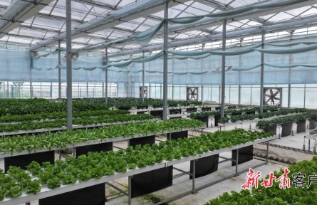 甘肃庄浪:智慧农业书写丰收篇章