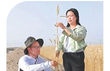 塔克拉玛干的年轻新农人:扎根沙漠边缘,让沙海变粮仓