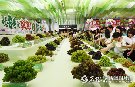 新疆图历丨首届吐鲁番葡萄节开幕