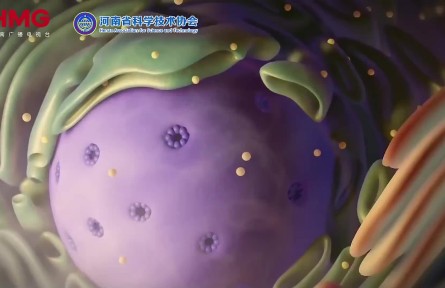 分子“剪刀”如何改写生命“密码”？“基因编辑”也有“安全锁”