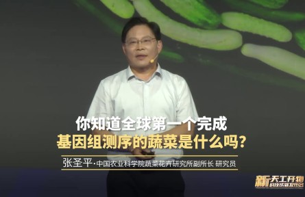 你知道全球第一个完成 基因组测序的蔬菜是什么吗？