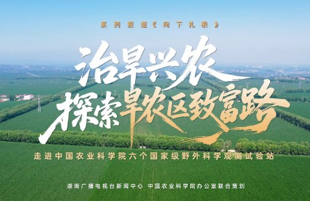 治旱兴农 探索旱农区致富路丨向下扎根