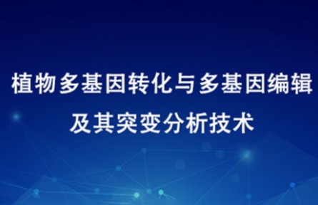 植物多基因转化与多基因编辑及其突变分析技术