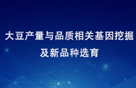大豆产量与品质相关基因挖掘及新品种选育