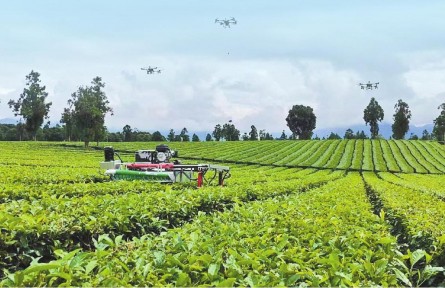 乡村振兴 | 机械化破局云茶耕种管收运难题