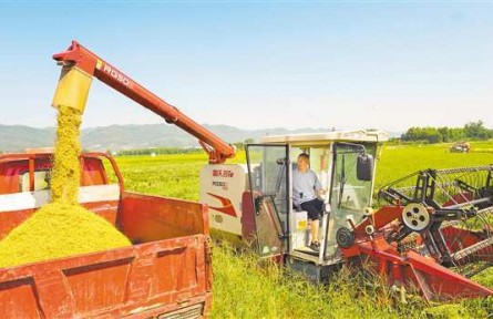 制种全产业链赋能乡村振兴