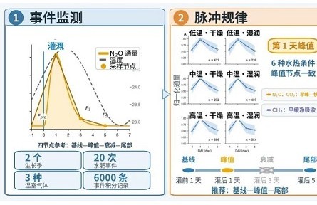 三节点采样方案实现滴灌棉田温室气体精准采集
