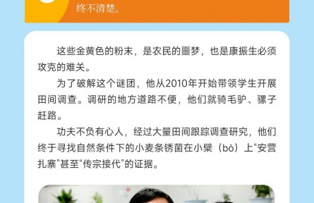 【三秦楷模 榜样力量】做一个有“粮”心的人 ——从麦田走出的院士康振生