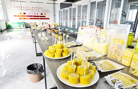 北京通州牵手奈曼旗，1.6亿元农品订单打通产销新通道