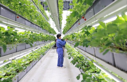 工业巨头“下田”记：当二氧化碳和粉煤灰都成了“宝”｜2026寻找新质生产力领跑者案例