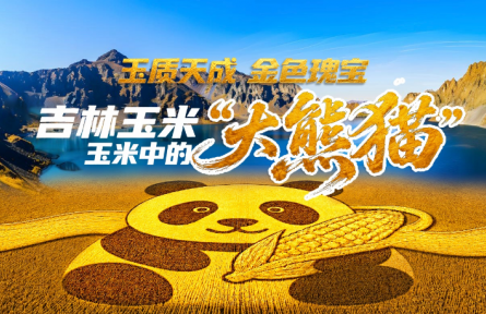 吉林鲜食玉米产业亮点“鲜”睹为快