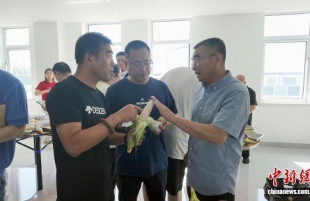 鲜食玉米品种同台“打擂” 吉林优品冲刺世界餐桌