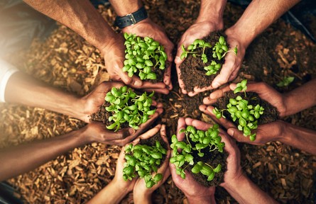 科技名词|可持续发展 sustainable development